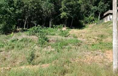 Imagem 3: CAXIAS DO SUL - Terreno Padrão - SÃO LUIZ DA 6ª LÉGUA