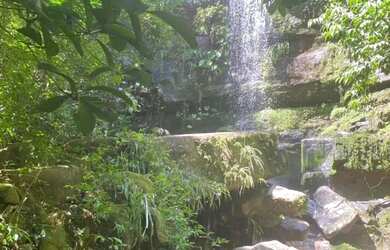 Imagem 15: Fazenda Shangrilá Água Abundante Goiás