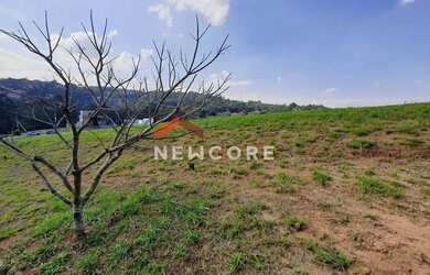 Imagem: Lote em condomínio em Alameda Vitória-régia - Reserva Nature