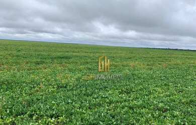 Imagem 7: Fazenda à venda, 6100 Hectares por R$ 770.000 - Zona Rural - Nova Maringá/MT