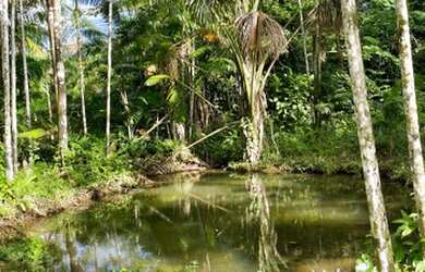 Imagem: A chácara está localizado em Areia Branca, Capanema à venda