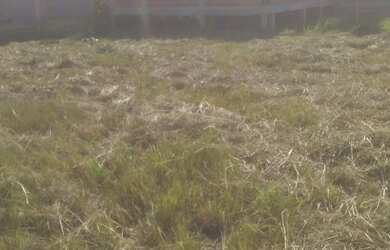 Imagem 2: Terreno. 200m² de Área