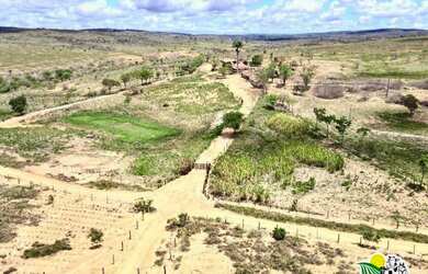 Imagem: A fazenda e está localizado em Nova Itarana, BA à venda por