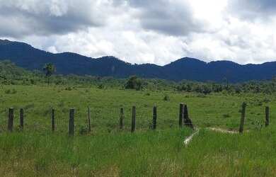 Imagem: A fazenda está localizado em Jardim Primavera, Boa Vista à