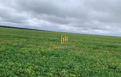 Imagem 5: Fazenda à venda, 6100 Hectares por R$ 770.000 - Zona Rural - Nova Maringá/MT