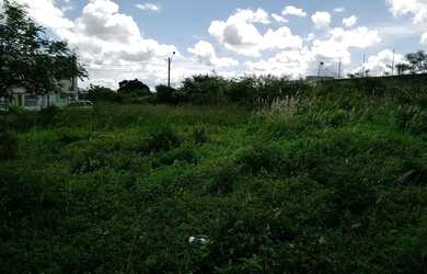 Imagem 6: Terreno no Luiz Gonzaga 12x30