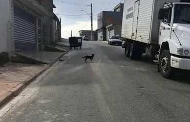 Imagem 8: Terreno Vila Do Conde Barueri