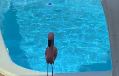 Imagem: A casa possui 2 Dormitórios, 3 Banheiros, 3 Vagas na garagem