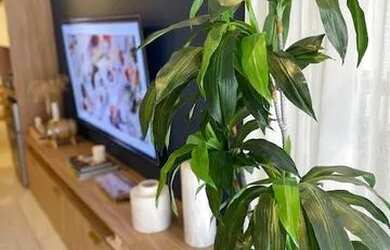 Imagem 7: Apartamento com 2 dormitórios, 116 m² - venda por R$ 4.000.000,00 ou...