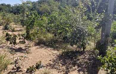 Imagem: A chácara possui 2.000m² de Área e está localizado em Santa