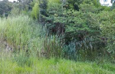 Imagem 3: Lote em ibirite. 208m² de Área