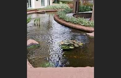 Imagem 12: Los Angeles 81m2 oportunidade liga 9 8 7 4 8 3 1 0 8 DIEGO9989F