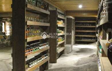 Imagem 7: Chácara à venda em Nova Petrópolis - Linha Brasil