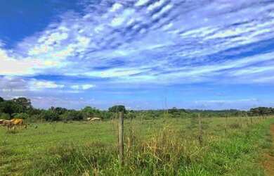 Imagem: A fazenda possui 5.000m² de Área e está localizado em Delta