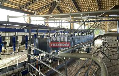 Imagem: A fazenda possui 500m² de Área e está localizado em Orizona