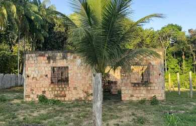 Imagem: A chácara está localizado em Zumbi Dos Palmares, Manaus à