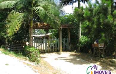 Imagem 5: AREA - LARANJA AZEDA - SP