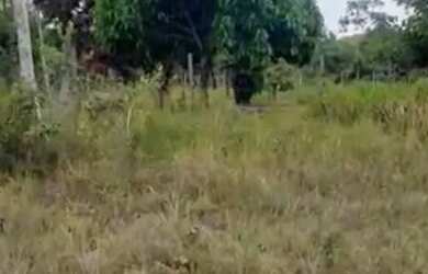 Imagem: O terreno está localizado em São Cristóvão, SE à venda