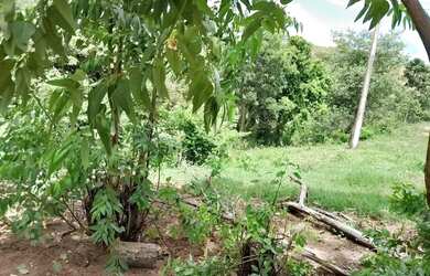 Imagem 6: Vende-se fazenda. 66m² de Área