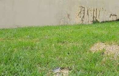 Imagem 5: TERRENO CITY RIBEIRÃO. 490m² de Área