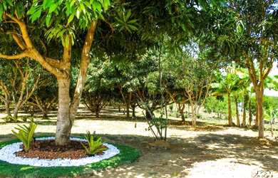 Imagem: O terreno possui 200m² de Área Privada e está localizado