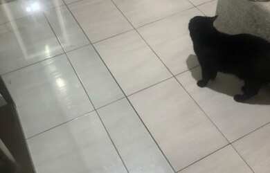 Imagem 6: Beira mar Aruanã. 70m² de Área, 1 Vaga na garageme3 Dormitórios