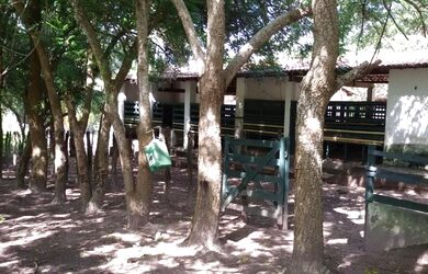 Imagem 13: Granja Riachão 14.5 Hectares, 3 Baias, Aprisco, Cocheira, Poço, Casa...