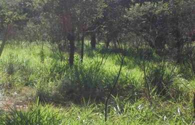 Imagem: A chácara está localizado em Jaboticatubas, MG à venda por