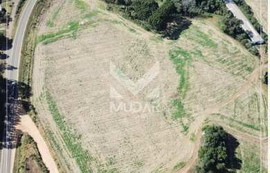 Imagem 4: Área Rural em Piraí do Sul ao lado da rodovia