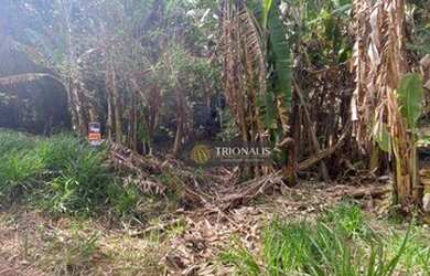 Imagem 3: Terreno à venda, 1204 m² por R$ 220.000,00 - Jardim Estância Brasil...