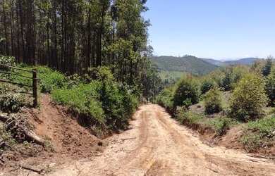Imagem 12: Lote/Terreno para venda possui 1000 metros quadrados em Moinho I - Nazaré...