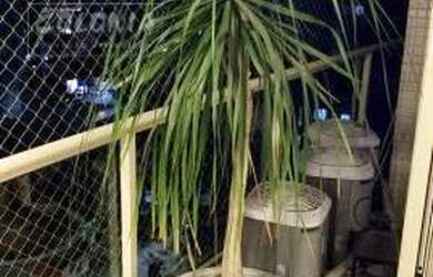 Imagem 6: Santo André - Apartamento Padrão - Jardim