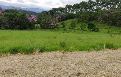 Imagem 8: Lote/Terreno para venda possui 1000 metros quadrados em Moinho I - Nazaré...