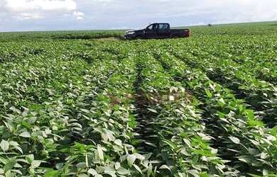 Imagem 12: Fazenda à venda, 6100 Hectares por R$ 770.000 - Zona Rural - Nova Maringá/MT