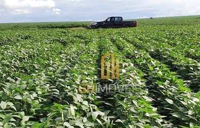 Imagem 12: Fazenda à venda, 6100 Hectares por R$ 770.000 - Zona Rural - Nova Maringá/MT