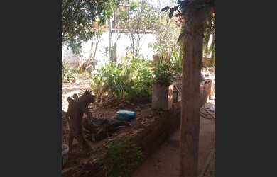 Imagem 14: Alugo casa em jaboticatubas bairro bom jardim