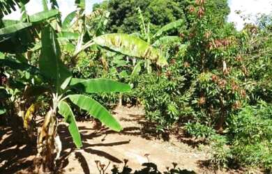 Imagem 5: Troco chácara por casa em Rio Preto