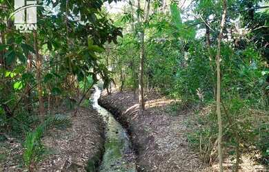 Imagem 4: Terreno à venda, 430 m² por R$ 200.000,00 - Mata Paca - Niterói/RJ