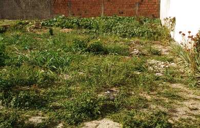 Imagem: O terreno possui 200m² de Área e está localizado em São