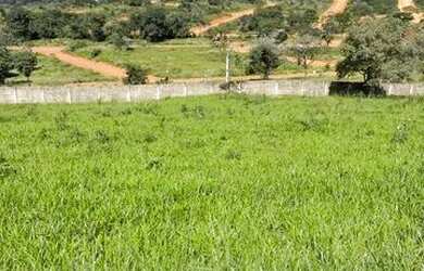 Imagem: O terreno possui 1.000m² de Área e está localizado em Champagne