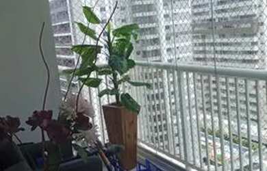 Imagem: O apartamento e possui 3 Dormitórios, Suítes, 2 Banheiros