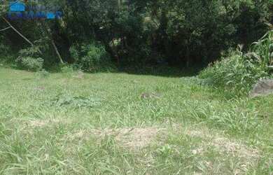 Imagem 1: Terreno à venda, 630 m² por R$ 185.000 - Polvilho - Cajamar/SP