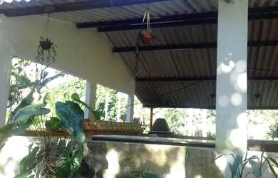 Imagem 5: Sua granja em pica pau com 5.6 hectares, campo de futebol está aqui 15