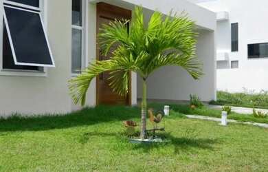 Imagem 2: Terras Alphaville 2