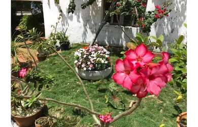 Imagem: A casa possui 5 Dormitórios, 5 Banheiros, 6.500m² de Área