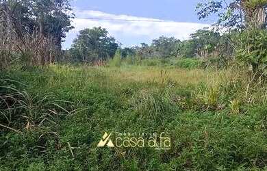 Imagem 5: Terreno 5000 mil metros de frente para Rodovia 407