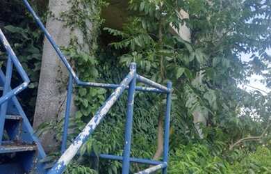 Imagem 10: Laranjeiras, Excelente Casa 4 Qts + Deps, Garagem, Vista Linda