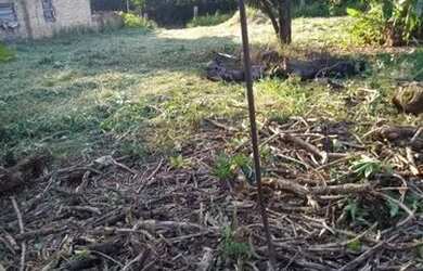 Imagem 5: Terreno em Guaíba. 1.000m² de Área