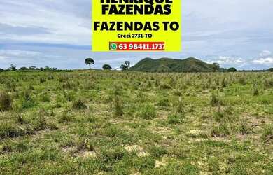 Imagem 12: Fazenda região central de Palmas a Porto Nacional