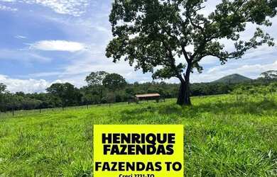 Imagem 9: Fazenda região central de Palmas a Porto Nacional